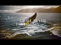 Spondeo - I Will Never Love Again (Official Video)