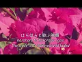 Download Lagu 福原希己江 - 想い想われ (eng+romaji)