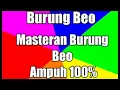 Download Lagu masteran burung beo full isian 100% ampuh