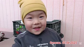 Сүмөлөк 2025