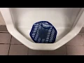 191 Walgreens Restroom Full shoot