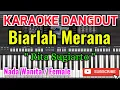 Download Lagu Biarlah Merana Karaoke - Karaoke Biarlah Merana Nada Wanita / Female - Rita Sugiarto