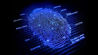 KNOW WHAT YOUR FINGERPRINT PATTERN SAYS ABOUT YOUR PERSONALITY