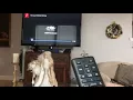 How to watch Yulelog Yule Log on Comcast X1 Xfinity