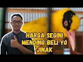 Download Lagu HARGA BURUNG KEPODANG OMBYOKAN SAMPAI YANG JINAK GACOR, PILIH YANG MANA?