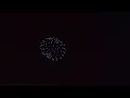 Lincoln Park District 4th of July celebration - fireworks light up the night sky