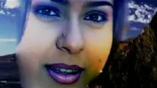 أبوداود عجبا يقول الناس انك هاجرى وانا الذى ذوبت فيك مشاعرى 