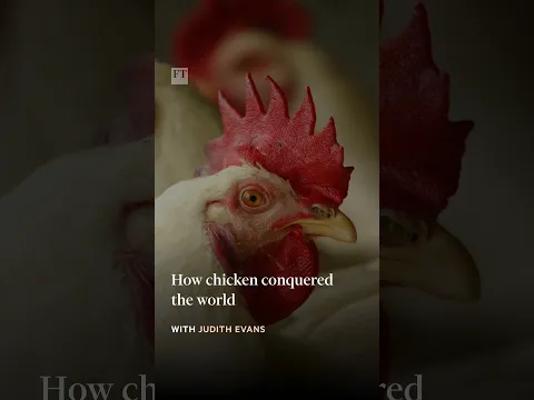 How chicken conquered the world | FT #shorts