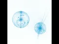 Toi Et Moi (Mr.Fingers Meditation Mix)