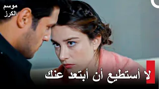 كلما كان الحب عظيمًا، كان الألم عظيمًا أيضًا - موسم الكرز