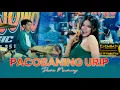 PACOBANING URIP - DEWI NAWANG - WONG JOWO MUSIC || BG AUDIO KEJAWEN TECH || PANDU MULTIMEDIA