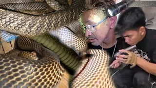SINASAKOP NA SILA NG MGA COBRA 😱😱