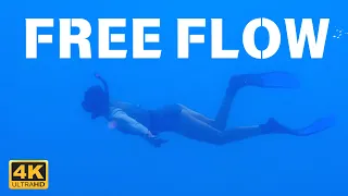 Free Flow: The Underwater Beauty of Reefs and the Living World of the Ocean