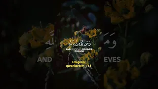 عبدالله الموسى سورة التغابن 