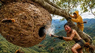 Extreme Giant Hornet Hunt: Only the Bravest Would Approach This Massive Nest
