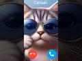Lagu jika ada telepon dari kucing #cat #cats #catvideos #catshorts #catlover