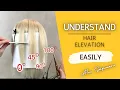 Understand Hair Elevation Easily Difference Between Haircut Techniques Line Graduation Layers