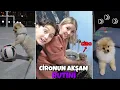 KÖPEĞİMİZ CİRONUN AKŞAM RUTİNİ !! FUTBOL OYNADI, BANYO YAPTI
