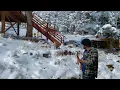 Wild Fox (“Foxy”) Prances Through Snow to Hear a Banjo Tune!