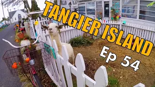 What’s on Tangier Island?! | Sailing Wisdom Ep 54