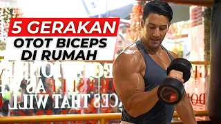 5 biceps muscle moves at home