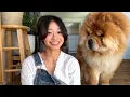 Download Lagu Our dog hated the floors so we changed it (Home Makeover)