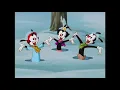 Gotta Get to the Wishing Star - Wakko s Wish