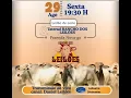 Download Lagu Fazenda Nova - GO   29/08/2025