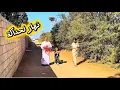 Download Lagu لمعلمية في دار لاحو ضالة قادينا ليهم لغذا  Download Lagu لمعلمية في دار لاحو ضالة قادينا ليهم لغذا
