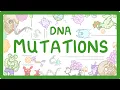 GCSE Biology - What are DNA Mutations exams