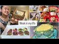 Download Lagu Week in my life || lots of baking 🤤 || Khushmita Gurung ||