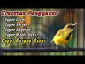 Download Lagu PANCINGAN SOGON TROTOLMU AGAR CEPAT RESPON GACOR‼️CUIT CUIT CERR BIKIN TROTOLAN DISITU IKUTAN NEMBAK