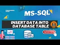 How to Insert Data in SQL Server INSERT INTO Explained for Data Analytics Beginner