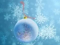 christmas ornament vector