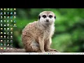MCA cloud practical Install Google App Engine Create hello world using python