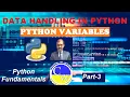 PYTHON DATA HANDLING CLASS 11 PYTHON FUNDAMENTALS PART 3 INFORMATICS PRACTICES COMPUTER SCIENCE