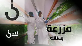 سين   حلقة      أكبر مزرعة عمودية مائية في العالم   مزرعة بستانك في الإمارات وجولة كاملة داخلها دندنها