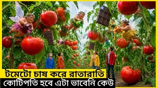 টমেটো চাষ করে পরিবারের কপাল এভাবে খুলে যাবে কেউ ভাবিনি 😯 l Movie Explain in Bangla l 
