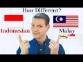Download Lagu How Different Are Indonesian and Malay?!