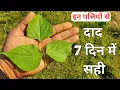 Download Lagu दाद एक बार में सही हो जाएगा || Desi dava for Daad || Herbs Plant Series | Home Garden