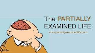 episode 0 introduction to the partially examined life podcast