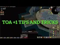 OSRS 1 Tombs of Amascut is Easy and Gives More Loot Raid 3 TOA Guides and Tips