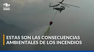 Incendios en Tolima no dan tregua: 8 municipios enfrentan emergencias por el calor