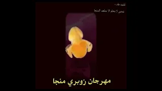 حصريا      مهرجان زوبري منجا من البوم زوبري نكهات              قريبا مهرجان زوبري موز بلبن          دندنها