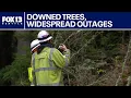 Camano Island faces days-long outages as crews race to repair windstorm damage