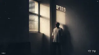 שיר לוי פחדים 
