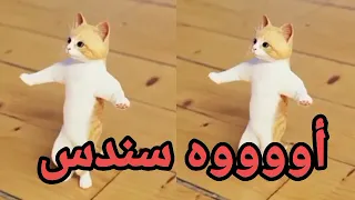 اغنية سندس القمر اغنية باسم سندس السعودية الكويت ابوظبي تركيا العراق قطر البحرين الجزائر دبي الرياض 