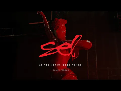 Video Thumbnail: Sel - Aš Tik Noriu [Remix 2025]