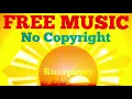 Download Lagu Fallacy - Cxdy