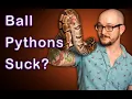 DO NOT Get A Pet Ball Python 3 Reasons Why Ball Pythons Are Not Good For Beginners